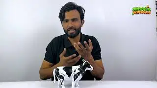 Amazing white Cow Musical Features unboxing & review #shorts #shortvideo #shortsfeed #jingglewinggle