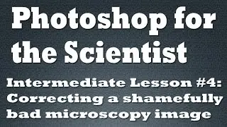 How to correct a shamefully bad microscopy image