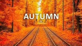 Beginning of Autumn - Soothing Autumn Melodies, Peaceful Soothing Music, Peaceful Piano