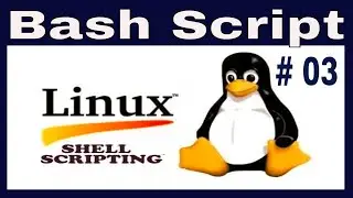 How shell scripting works | How Bash Script write | Learn in Hindi / Urdu #03