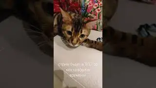 #глобальныерекомендации