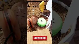 😴PLEASE DO NOT DISTURB CHOCOLATE MACARON IN | Secret Staycation | Roblox