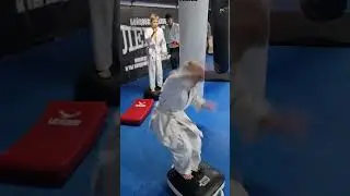 Смуга перешкод