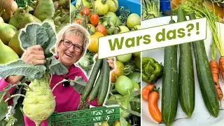Es geht zu Ende... (Garten Vlog)