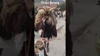Arácsi Farsang / Busójárás Arácson