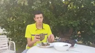 Готовим Артишоки на Кипре / Мокренькие качанчики