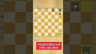 Chess 3 move die // Tiga langkah mati // problem catur