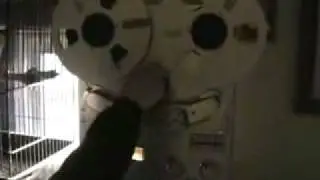 Tape Recorder