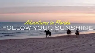 Follow Your Sunshine with VISIT FLORIDA