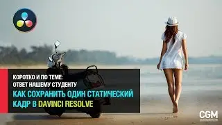 Короткий ответ. Как сохранить один статический кадр в DaVinci Resolve