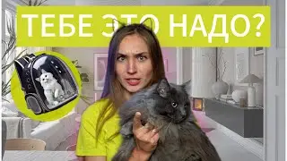 У ТВОЕГО ПИТОМЦА ДОЛЖНО БЫТЬ ЭТО! КОТОБЗОР№4 