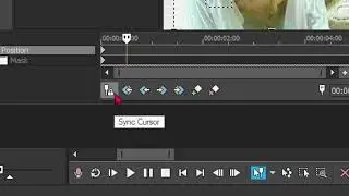 COMO PULAR FRAME POR FRAME NO SONY VEGAS