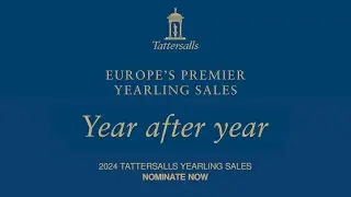Europe's Premier Yearling Sales, Year After Year