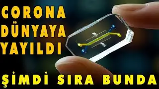 DÖNÜŞÜM BAŞLADI VE ARTIK GERİ DÖNÜŞ YOK !