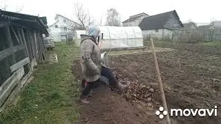 WE LIVE IN A VILLAGE/ BELARUS. Work on the plot.