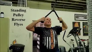 Standing Pulley Reverse Flyes