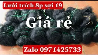 Lưới đánh chim đêm loại tổng hợp chống trèo siêu dai siêu tang hình ko chạy mắt 0971425733 hà bang