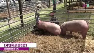Expo Bragado 2023