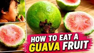 How to Eat Bayabas | Guava Fruit