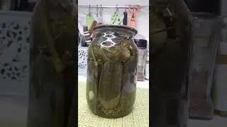 Как открыть банку кружкой? Совет на случай, если нет открывашки