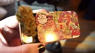 Fuimos a Astro Growshop a despedir Abril