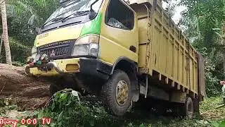 Skill Dewa Supir Mobil Balok !!Cara Mengangkat Balok Ke atas Mobil Gerobak Canter 125 HD.