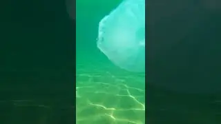 Крым Феодосия водный каеф 2021