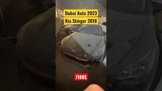 #dubai2023 #kiastinger 2018 - 7100$ #tashkent #baku #moscow
