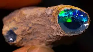 Could this rough opal be the cut of the year? I'm going in