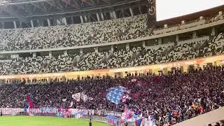アフリカンシンフォニー 20231108