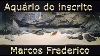 117°- Aquário do inscrito Marcos Frederico