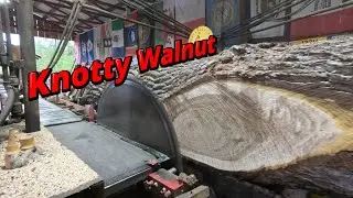 Sawing a knotty walnut log # 783