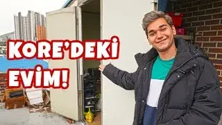 MY HOME IN KOREA! (Monthly Rent, Living Conditions!)