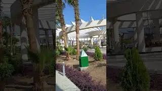 Египет на новый год. Отель Monte Carlo. Территория рядом с входом в главный корпус.