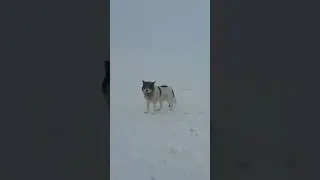 Отдыхаем на природе зимой! 