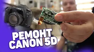 Ремонт Canon 5d, не включается