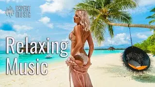 Instrumental music relaxing for beauty salon and SPA  🌴