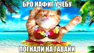 алоха🏖️🍹🥥🏝️☀️