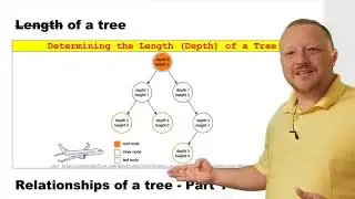 Height and Depth of a Tree