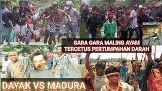 Perang Sambas dan Madura ini katanya lebih DAHSYAT lagi dari trajedi sampit...