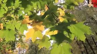 Геннадий Тимофеев..Осенняя женщина .