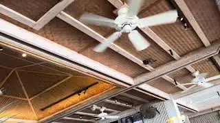 Ceiling Fans At Utiki