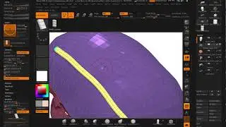 Drawing Vessels and Nerves onto objects in  ZBrush using Insert Mesh Brushes