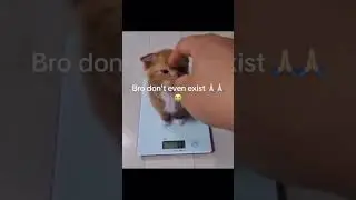 Doesn't Even Exist 😱