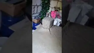 Бетонный грибок для сада. Садовая фигура из цемента. 
