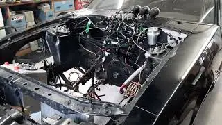 1 month from Testing Alcohol 427 TT