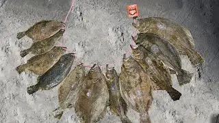 TEXAS Flounder Gigging Season Opens Back Up