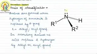 4 | SECONDARY AMINES