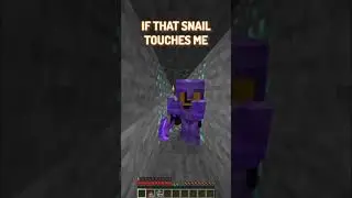 saving the RICHEST person on the SMP from the SNAIL! 