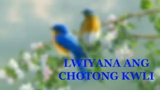 Lwiyana Ang Chotong Kwli.. Singer - Bonti Dolpa.. Kocha Christian Song